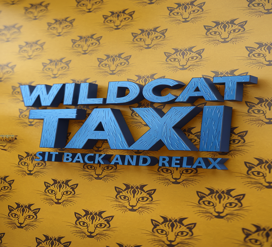 Taxi Service Image