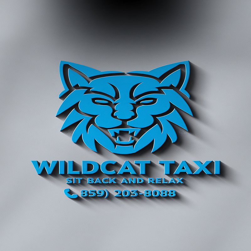 Taxi Service Image